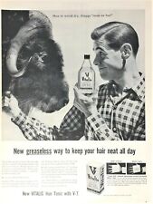 1956 Vitalis Vintage Print Ad Musk Ox Greaseless Way To Keep Hair Neat All Day  picture