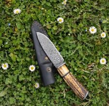 AB CUTLERY CUSTOM HANDMADE STEEL D2 SKINNER KNIFE HANDLE DAMASCUS CLIP AND STAG picture