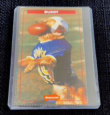BUDDY ROOKIE RARE 1999 Nickelodeon Kids Choice Centered AIRBUD Golden NM+ picture