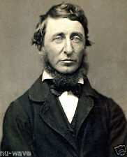 1856 Photo HENRY DAVID THOREAU American Author, Poet, Philosopher, Abolitionist picture