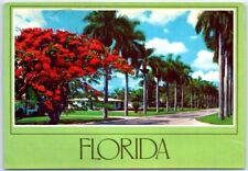 Postcard - Stately Royal Palms, line a residential avenue in sunny Florida picture