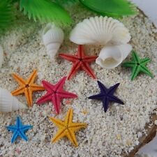 20 pcs Mixed Natural Starfish Tiny Dried Sea Star Nautical Ornament Decor 1-2cm picture