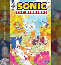 SONIC THE HEDGEHOG ANNUAL #1 1:10 INC RATIO ATA VARIANT PRESALE 8/14 ☪ picture