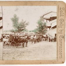 Rochester Horse Harness Racing Stereoview c1885 Webster Albee Driving Track H508 picture