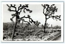 c1940's Joshua Trees Along Highway To 29 Twentynine Palms CA RPPC Photo Postcard picture