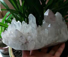 3.4LB 104mm Big Purple Quartz Natural Red Black Ghost Crystal Cluster Point Heal picture