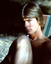 Jan Michael Vincent moody young pose early 1970's bare chest 24x36 Poster picture