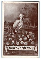 c1910's Stork And Babies Picking A Winner Delivery Unposted Antique Postcard picture