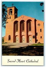 c1960s Sacred Heart Cathedral Exterior Roadside Gallup New Mexico NM Postcard picture