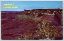 Arizona Painted Desert Chrome Postcard picture