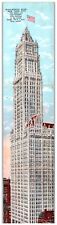 Woolworth Building New York NY NYC Trifold Folding UDB postcard V8 picture