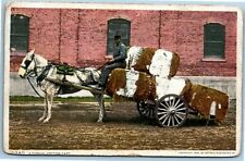 Antique Postcard~ A Typical Cotton Cart~ 1906 by Detroit Publishing Co. picture