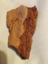 Top Quality Petrified Wood Specimen.  64 Grams. picture
