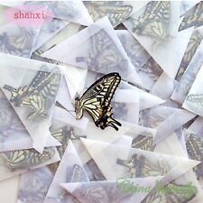 wholesale 50 pcs unmounted folded butterfly Papilionidae papilio xuthus CHINA picture