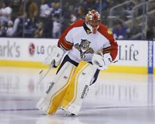 ROBERTO LUONGO Florida Panthers 8X10 PHOTO PICTURE 22050704667 picture