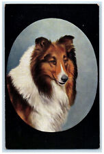 Postcard Favourite Dogs Scotch Collie Dog c1910 Unposted Antique Tuck Dogs picture