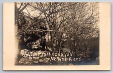 Wolf Den in the Canyon Moline Kansas KS c1910 Real Photo RPPC picture