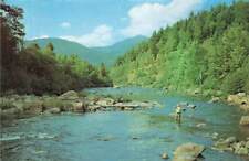 Vintage Fisherman Fishing Fish Unknown Locations Scenic Panorama  P75 picture