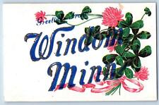 c1920's Greetings From Windom Glitters Flower Minnesota Correspondence Postcard picture