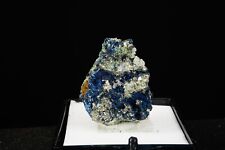 Covellite & Pyrite / Rare Thumbnail Mineral Specimen / Leonard Mine, Butte, Mont picture