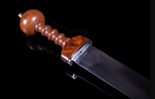 Legion Gladiator Roman Gladius Sword Hand Forged 1095 High Carbon Steel Blade picture