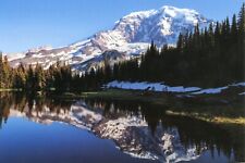 Mount Rainier National Park, Washington --POSTCARD picture