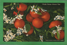 Postcard Florida Orange Blossom Time Orange Trees Florida Fl picture