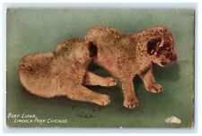 1916 Baby Lions Lincoln Park Chicago Illinois IL Posted Antique Postcard picture