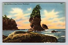 Cape Flattery WA-Washington, The Old Man, Antique, Vintage Postcard picture