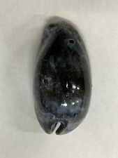 EXTINCT Fossilized COWRIE Shell From Central Florida, Pliocene Era. picture