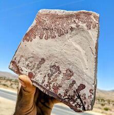 6.12  lb dendrites - display specimen of spectacular manganese oxide dendrites  picture