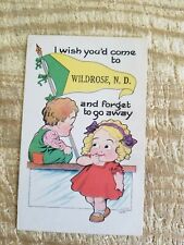 VTG 1915 FUNNY,CUTE WILDROSE,ND POSTCARD*P25 picture