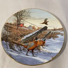 Vintage WINTER COLORS RING-NECKED PHEASANT Plate Field Birds of North America picture