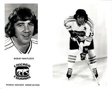 PF4 Original Photo BOBBY WHITLOCK 1972-74 CHICAGO COUGARS LEFT WING WHA HOCKEY picture