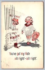 Postcard Vote For Women You've Got My Vote Womans Suffrage Rights Political picture