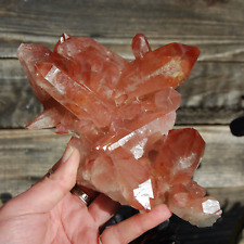 HUGE 2lb 7.5in Inner Child Strawberry Pink Lemurian Quartz Crystal Cluster, Eart picture