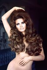 Raquel Welch iconic 1960's sex symbol classic glamour pose 24x36 inch poster picture