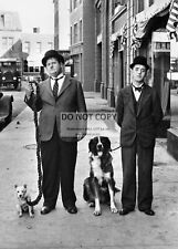 *5X7* PUBLICITY PHOTO - STAN LAUREL AND OLIVER HARDY WITH DOGS (CC809) picture