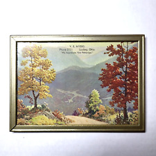 Antique V.E. Myers Luckey Ohio Advertising Picture in Metal Frame picture