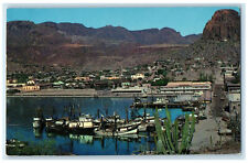 c1950's Small Portion of Guaymas Shrimp Fleet Sonora Mexico Postcard picture