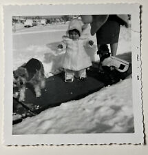 vintage 1959 Baby Toddler in SNOW w DOGS in JACKETS Snapshot Photo picture