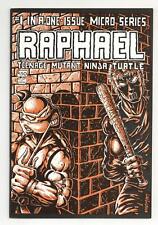 Raphael Teenage Mutant Ninja Turtles #1 Eastman 1st Printing FN+ 6.5 1985 picture