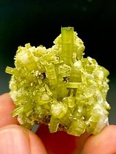 170 Carat Natural Green Tourmaline Cluster Specimen @ Mineral Specimens picture