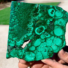 315g Natural tortoise Malachite transparent cluster coarse mineral sample picture