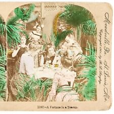 Women Reading Tea Leaves Stereoview c1901 Keystone Tasseography Fortune G767 picture