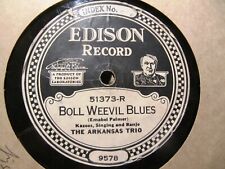 1924 John Cali Banjo BOLL-WEEVIL BLUES Political Folk Arkansas Trio EDISON 51373 picture
