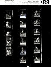 LD363 1988 Original Contact Sheet Photo MIKE HEATH LARRY HERNDON TIGERS - TWINS picture