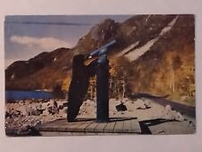 Bear Using Binoculars Franconia Notch  New Hampshire Posted 1951 Postcard  picture