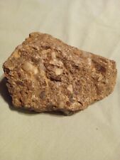 Kimberlite W/ Visible Crystals & Small Diamonds. 11 Ozs. Very Large Specime picture