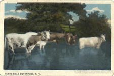 1921 Scene Near Davenport,NY Delaware County New York Antique Postcard 1C stamp picture